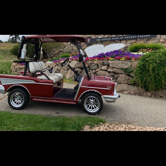 Meet your Posher, Paul - Picture 2 of 4